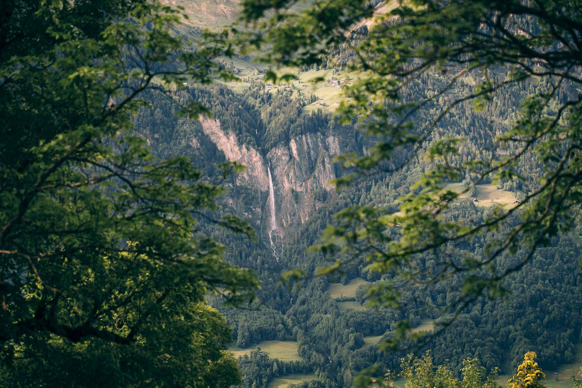 down to earth Permaculture Foundation